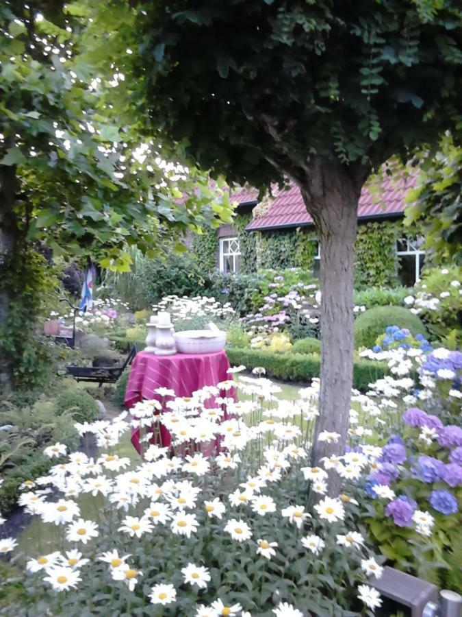 Ferienhaus Zaunkoenig Eversmeer Luaran gambar